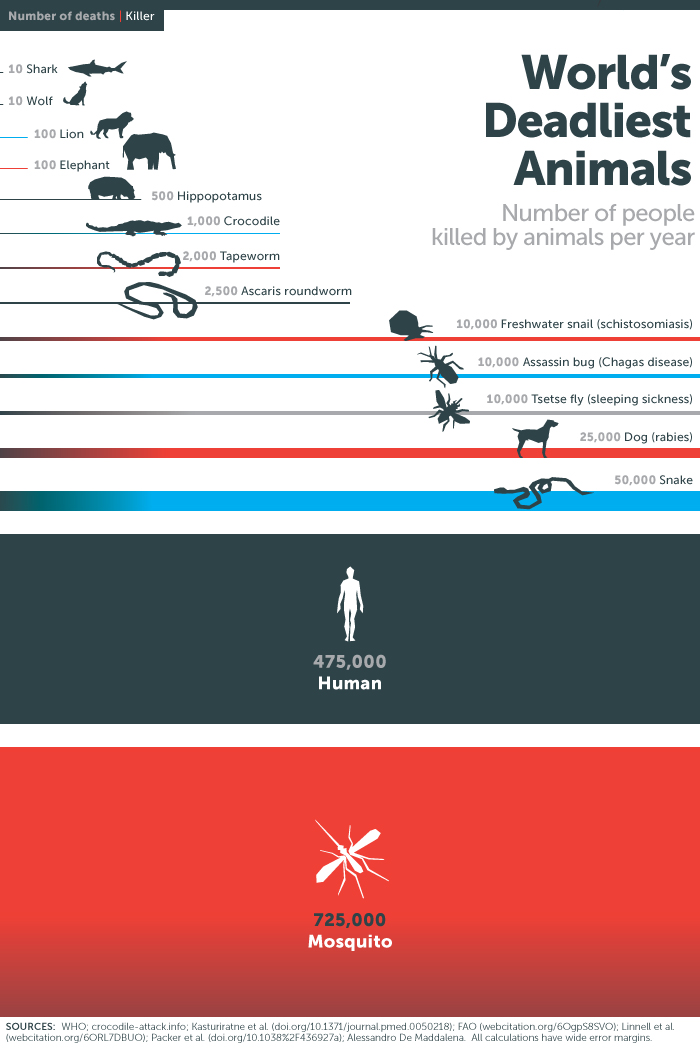 【ビル&メリンダゲイツ財団調べ】どの動物が人間を一番殺しているか？を調べたら驚きの結果に…