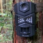 わな猟、銃猟問わず狩猟において、野生鳥獣を捕獲する際にはトレイルカメラがオススメ!