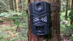 わな猟、銃猟問わず狩猟において、野生鳥獣を捕獲する際にはトレイルカメラがオススメ!