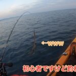 カヤック釣行第4戦で、まさかのレアな黒バージョンを釣り上げる