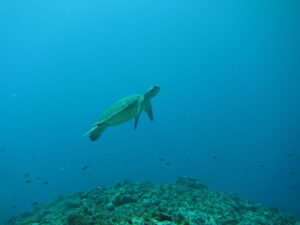 人気漫画「遊☆戯☆王」作者 高橋和希さん 沖縄 名護で死去