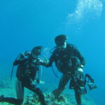 ダイビング客死なせた疑い　柏島（高知）の経営者ら書類送検