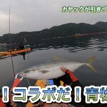 【夏だ!コラボだ!青物だ!】目が回るほどカヤックが引きづり回された日