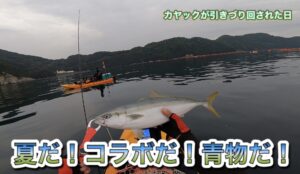 【夏だ!コラボだ!青物だ!】目が回るほどカヤックが引きづり回された日