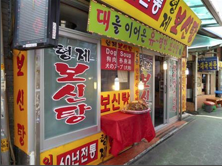 「犬食禁止」で韓国大揺れ　愛犬家・文大統領の発言に大抗議デモが続く