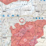 サルが大暴れしたあと、今度は住宅地にイノシシが５頭出没！
