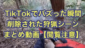 Tik Tokで300万回以上再生された後、垢BANくらった狩猟シーンまとめ!