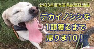 ウリボーや小さなイノシシが出まくって、そこら中に臭いがある中、ピンポイントでデカイノシシを狙う！