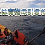 今期最後のカヤックフィッシングは青物で飾る!