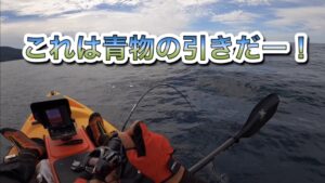 今期最後のカヤックフィッシングは青物で飾る！