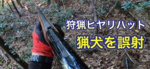 猟犬カシンが目の前でイノシシを起こした。飛ばす方向へ予測して近づいたところ茶色い動く動物が？！