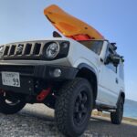 道に飛び出したクマやイノシシとの事故“ロードキル” 遭遇したらどうする?