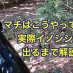 イノシシの巻き狩り、グループ猟におけるマチの着き方を動画にてレクチャーします。