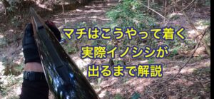 イノシシの巻き狩り、グループ猟におけるマチの着き方を動画にてレクチャーします。