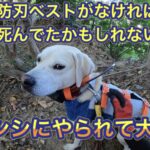 【過去最悪の大怪我】防刃ベストがなかったら、死んでいたかもしれません。。。