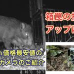 箱罠にトレイルカメラはもはやチートレベル。捕獲率アップにコスパ最強のトレイルカメラのご紹介!