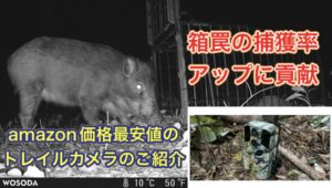 箱罠にトレイルカメラはもはやチートレベル。捕獲率アップにコスパ最強のトレイルカメラのご紹介!