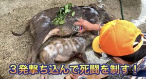 たとえ猟犬がやられても、僕らがケガをしても、山の神様への感謝は忘れない