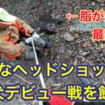 【一発入魂】ヘッドショット一撃で、猟犬デビューに花を添える