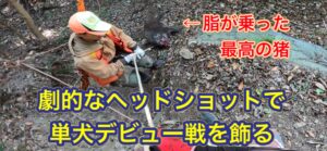 【一発入魂】ヘッドショット一撃で、猟犬デビューに花を添える