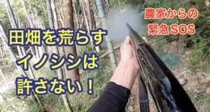 夜の市街地にイノシシ出没、車など8台に次々衝突 けが人なし