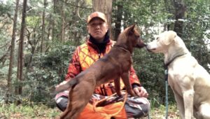 これからの猟犬を伴った狩猟、有害鳥獣駆除のスタイルについて