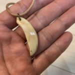 捕獲したイノシシの捨てちゃう部分を少しでも減らすために