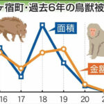 農作物の鳥獣被害95%減 七ケ宿町、柵の設置行き渡る 捕獲駆除も後押し
