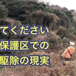 “鳥獣保護区では特定外来生物も保護されている”という現実を知ってください