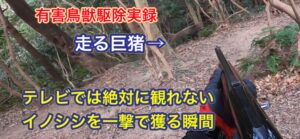 【閲覧注意】地域住民と農作物を守る有害鳥獣駆除での衝撃的な射撃シーン