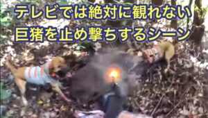 YouTubeにアップした狩猟系の動画が閲覧制限くらってたので再審査請求をしました