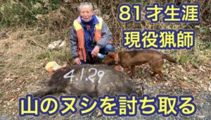 81才のベテラン猟師が、山のヌシ“極太イノシシ”を撃って獲る