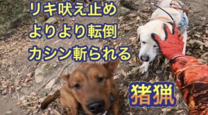 コロナで活動自粛中に１０年後の里山の未来を見た有害鳥獣駆除活動