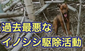 地域“課題”を地域“資源”に!『放置竹林』から『メンマ』をつくれ!