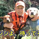 ハチ、アブ、マダニ、蚊、、、刺されないためには? 刺されたらどうする? 【福井】
