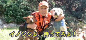 犬の飼育費は年平均34万円余…プレミアム化進む『ペット関連商品』