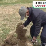 宮城・栗原市パークゴルフ場 イノシシ被害で営業再開まで1年かかる見込み