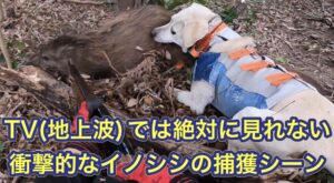 警察が銃の検査中に…　参加者の“散弾銃”が暴発　銃刀法違反の疑い含め捜査【新潟】