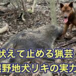 YouTubeが厳しすぎて動画投稿する気がなくなってきました…