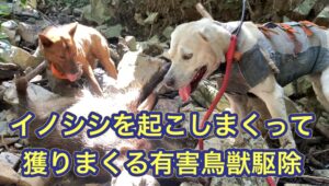 今シーズン最後の有害鳥獣駆除で過去最高頭数を捕獲。イノシシの拡大を未然に防いだ活動