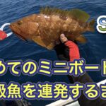 中古のミニボートで艤装もなしにジギングしたら爆釣しました。