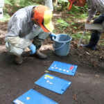 「豚熱」防御線を移動　ワクチン散布も続く侵入　西日本防疫最前線のまち／兵庫・丹波市