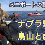 ナブラ撃ち、鳥山との追いかけっこで大忙しのミニボートでのジギング