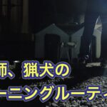 猟師、猟犬のモーニングルーティン。１日の始まりは猟犬の散歩から始まります。
