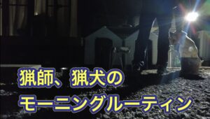 猟師、猟犬のモーニングルーティン。１日の始まりは猟犬の散歩から始まります。