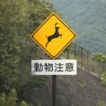 ショックでも動物の救助は厳禁! クルマで野生動物を刎ねてしまったときに取るべき行動とは