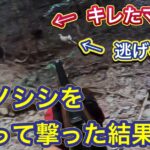 【衝撃的な問題映像】猟犬どころかイノシシにも絶対にあたらない理由を徹底解説