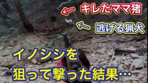 【衝撃的な問題映像】猟犬どころかイノシシにも絶対にあたらない理由を徹底解説