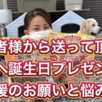 狩猟、有害鳥獣駆除に特化したYouTubeチャンネル名にしたものがいいものか…?