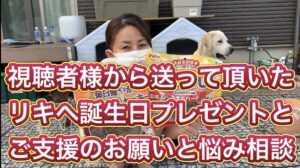 狩猟、有害鳥獣駆除に特化したYouTubeチャンネル名にしたものがいいものか…？